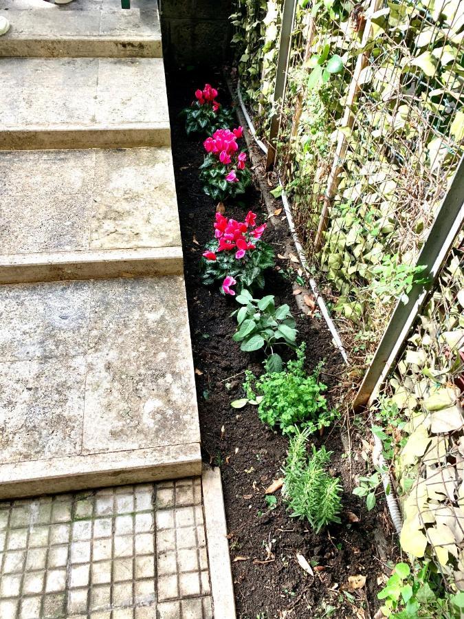 Vatican Garden Home Рим Екстериор снимка